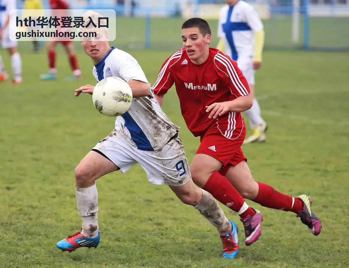 hth华体登录入口会员专属内容预览封面